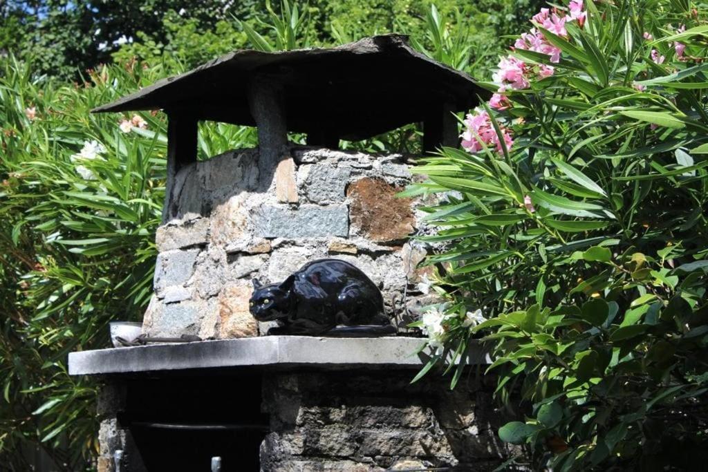Casa Colori Villa Poggiridenti ภายนอก รูปภาพ
